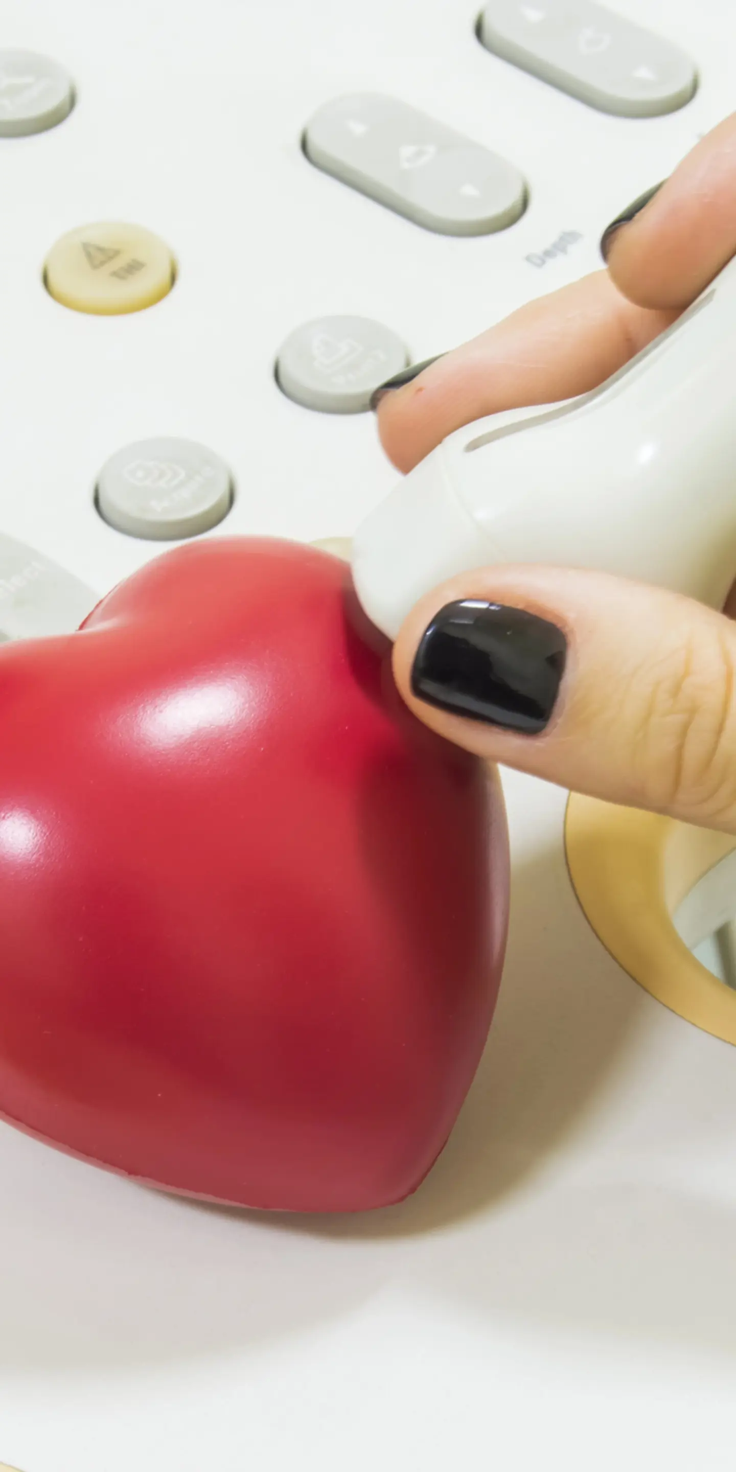 Echo Heart Scan (2)