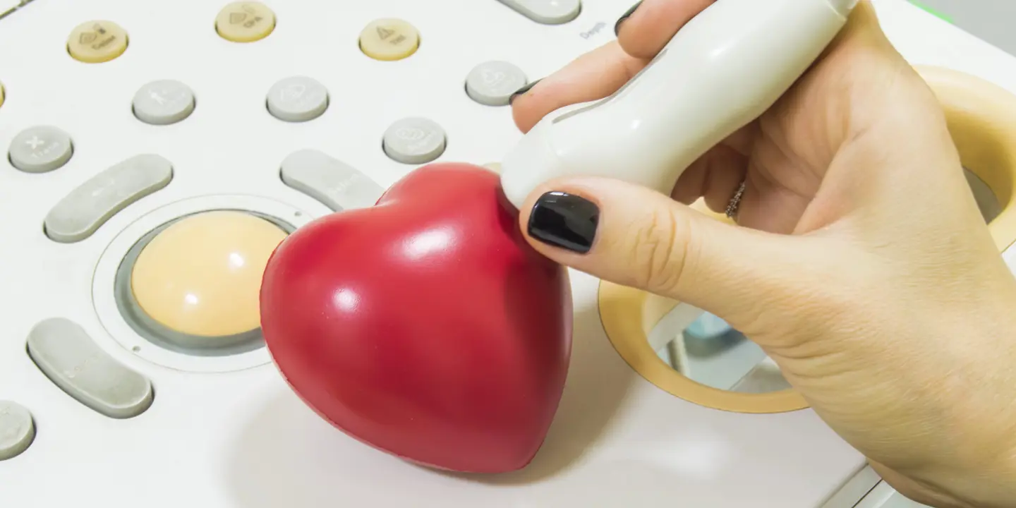 Echo Heart Scan (2)