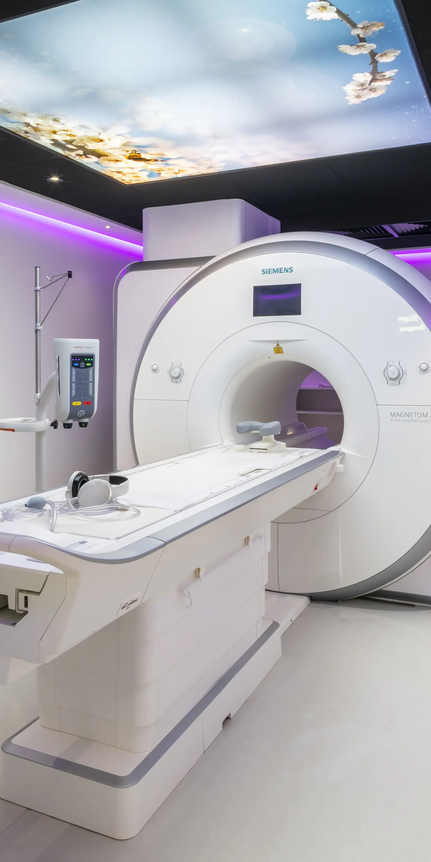 Redruthcdc Dec2025 023