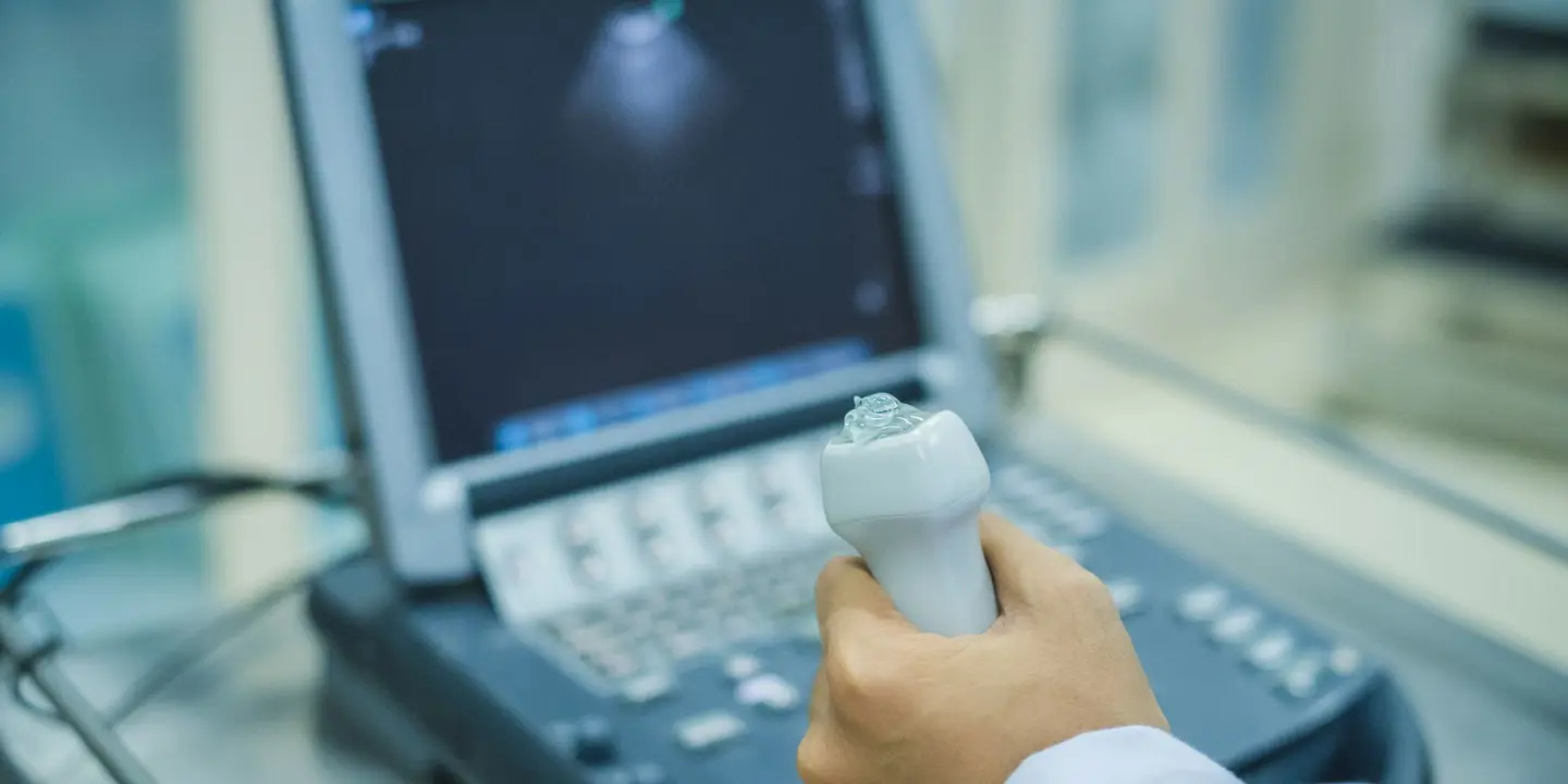 Echo Heart Scan